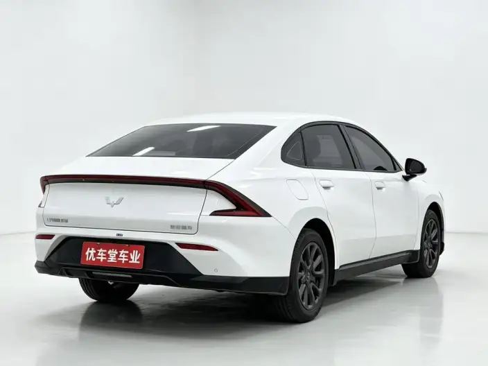Wuling Xingguang PHEV 2025 Model 70km Smart Standard Model – фото 5