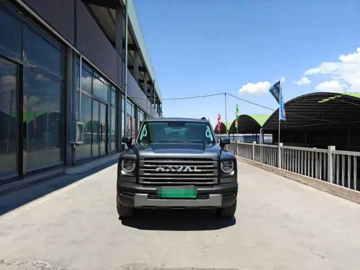 HAVAL Menglong PHEV 2024 Model 1.5T Hi4 145 Pro – фото 2