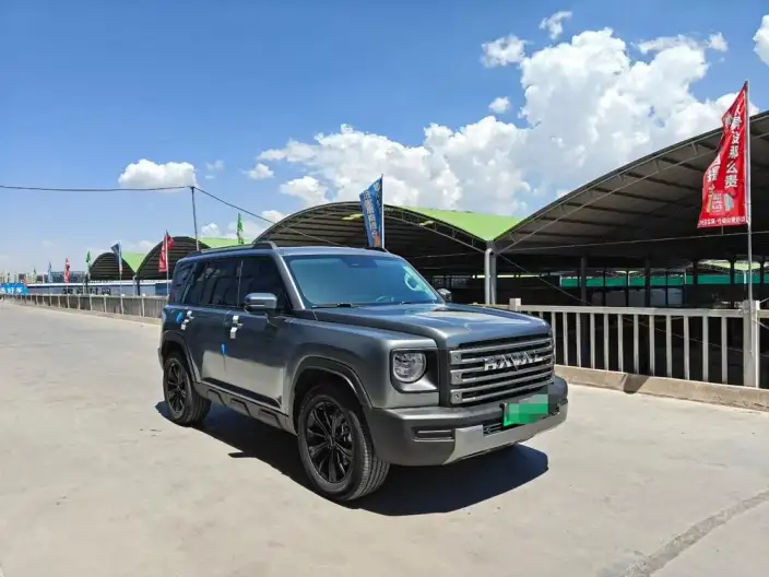 HAVAL Menglong PHEV 2024 Model 1.5T Hi4 145 Pro – фото 3