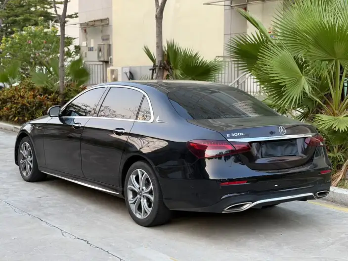 Mercedes-Benz E-Class 2023 Model Facelift E 300 L Noble Model Sports sedan – фото 4