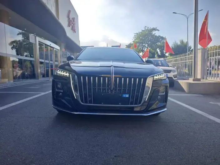 Hongqi H5 2025 Model 2.0T Automatic Flag Enjoy Edition – фото 2