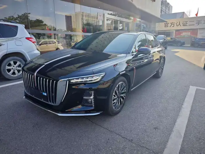 Hongqi H5 2025 Model 2.0T Automatic Flag Enjoy Edition – фото 10