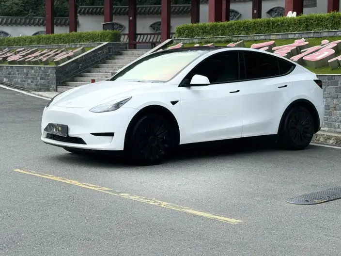 Model Y 2022 Model Rear-wheel drive version – фото 1