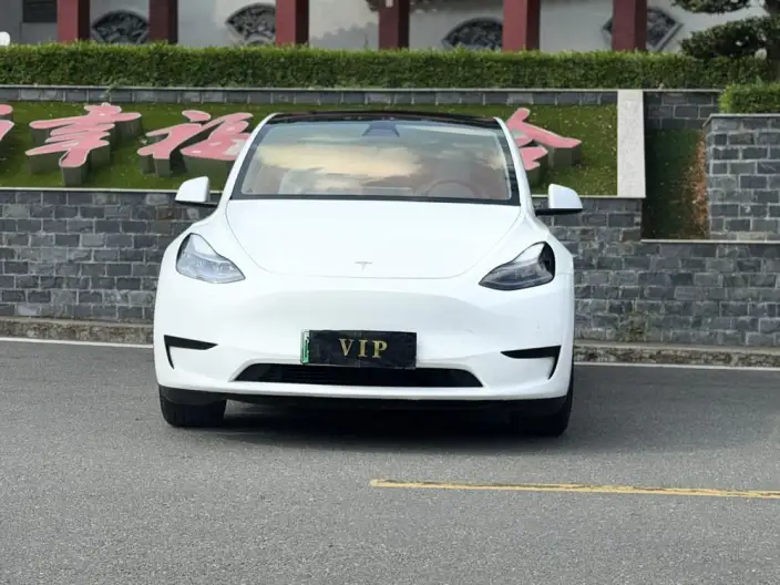 Model Y 2022 Model Rear-wheel drive version – фото 2