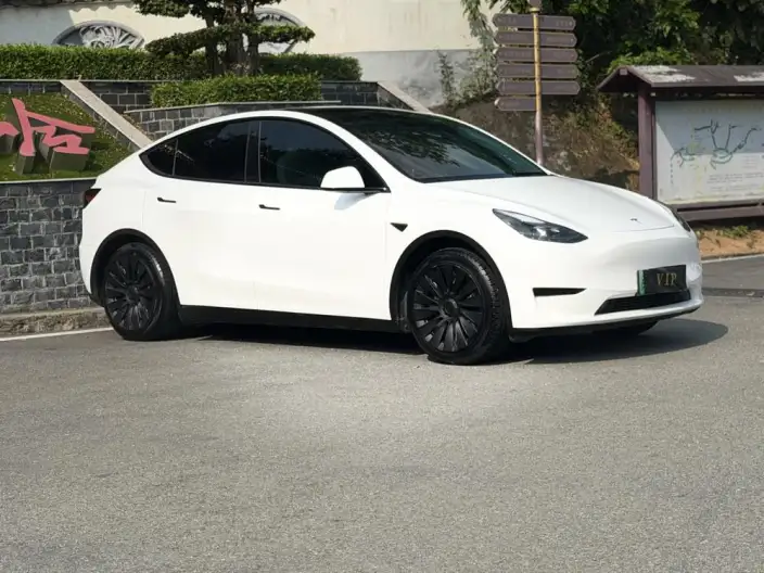 Model Y 2022 Model Rear-wheel drive version – фото 3