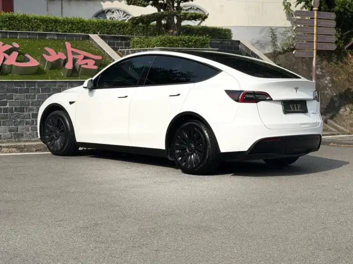 Model Y 2022 Model Rear-wheel drive version – фото 4