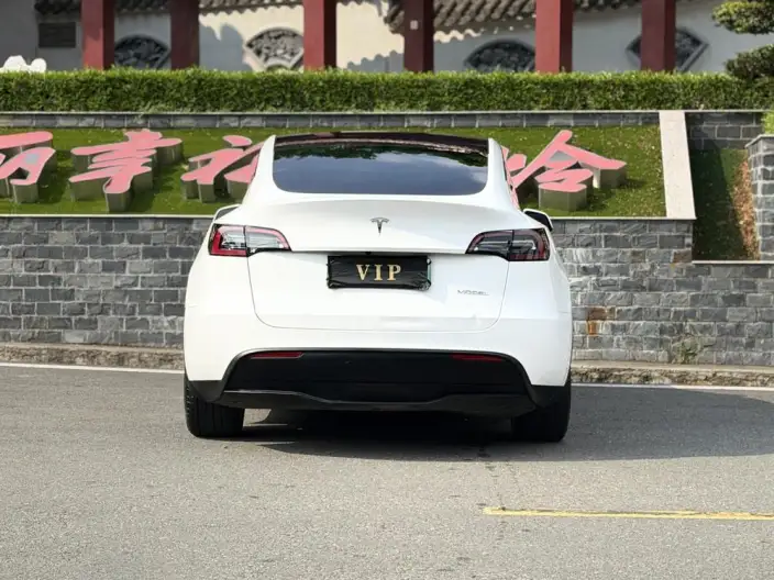 Model Y 2022 Model Rear-wheel drive version – фото 5