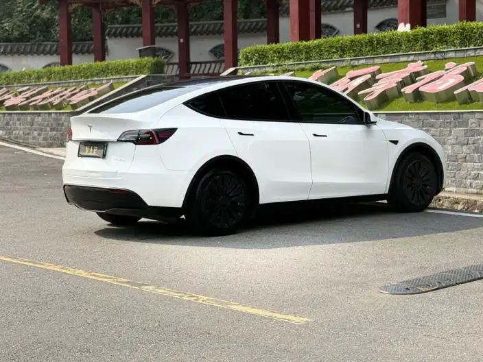 Model Y 2022 Model Rear-wheel drive version – фото 6