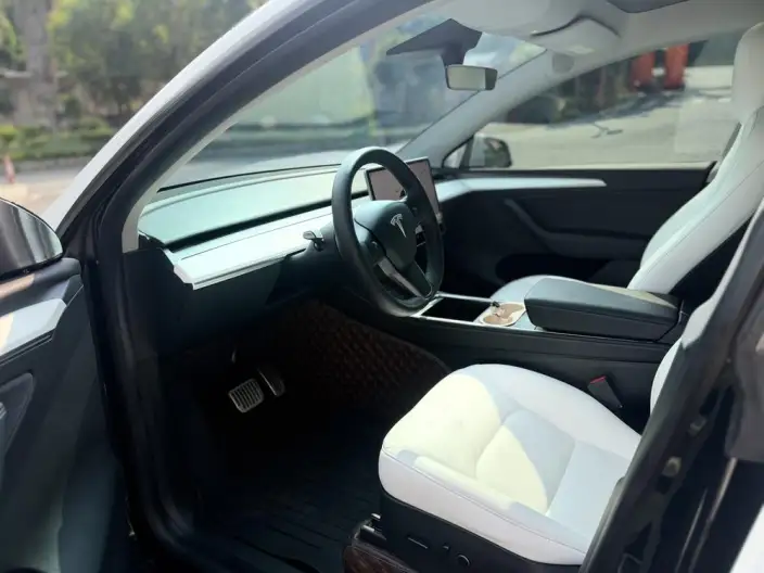 Model Y 2022 Model Rear-wheel drive version – фото 8