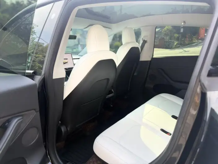 Model Y 2022 Model Rear-wheel drive version – фото 9