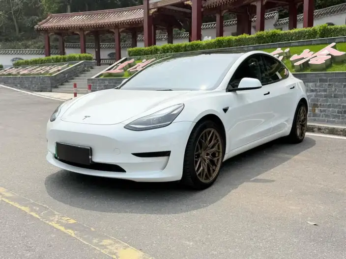 Model 3 2022 Model Rear-wheel drive version – фото 1