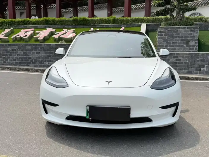 Model 3 2022 Model Rear-wheel drive version – фото 2
