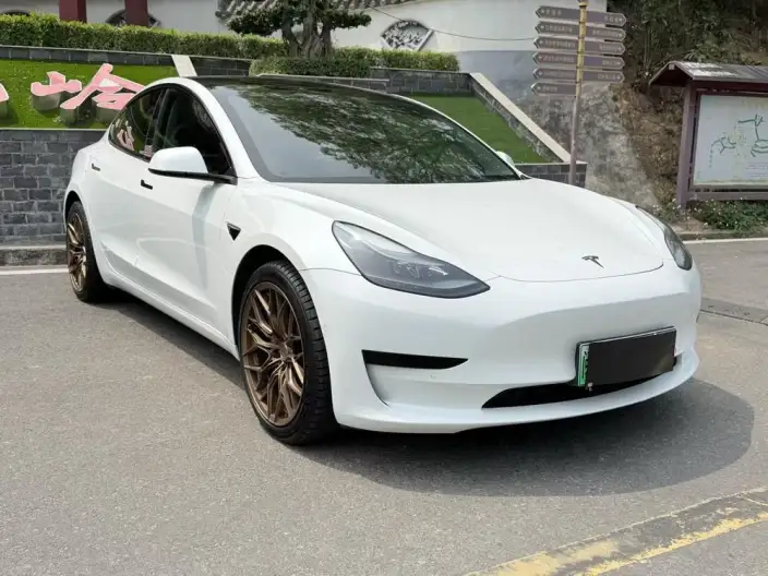 Model 3 2022 Model Rear-wheel drive version – фото 3