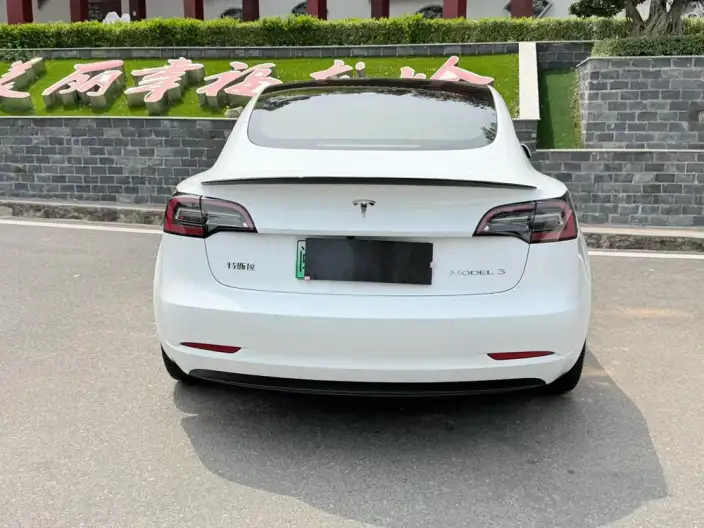 Model 3 2022 Model Rear-wheel drive version – фото 5