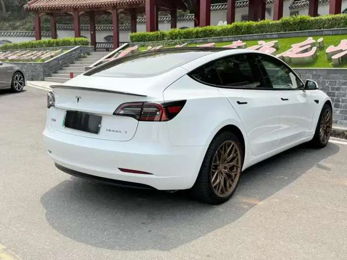 Model 3 2022 Model Rear-wheel drive version – фото 6