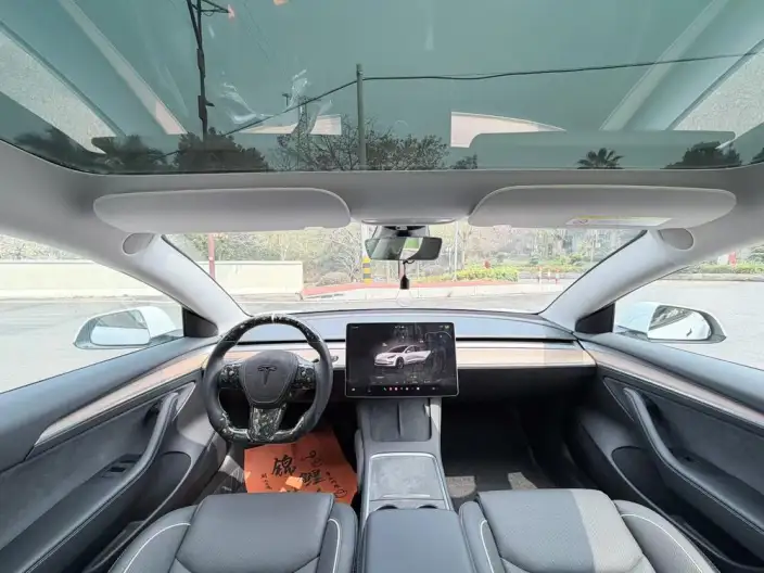 Model 3 2022 Model Rear-wheel drive version – фото 7