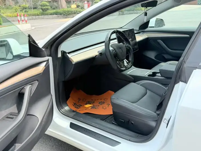 Model 3 2022 Model Rear-wheel drive version – фото 8