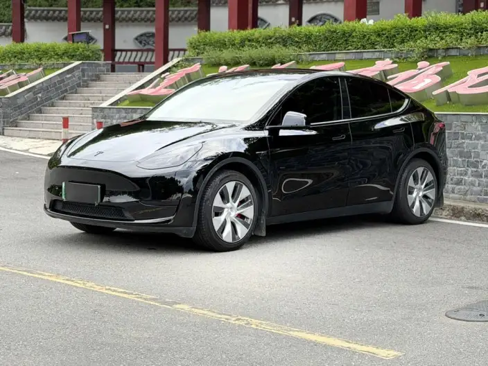 Model Y 2022 Model Facelift Rear-wheel drive version – фото 1