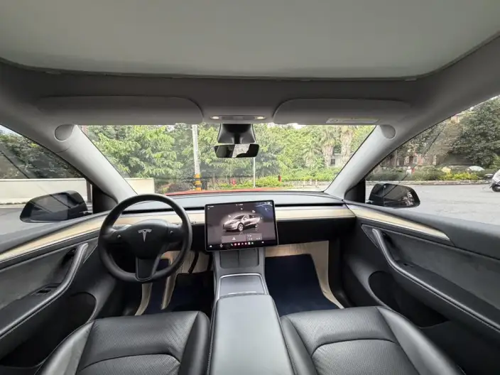 Model Y 2022 Model Facelift Rear-wheel drive version – фото 7