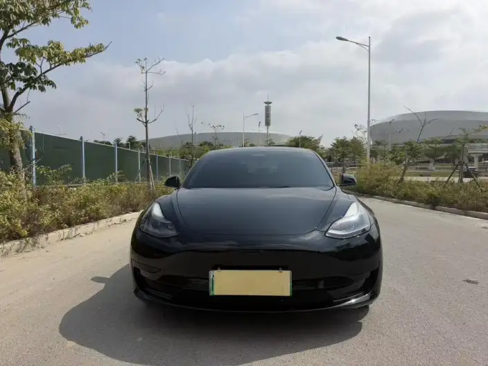 Model 3 2022 Model Rear-wheel drive version – фото 2