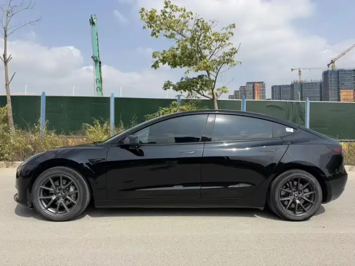 Model 3 2022 Model Rear-wheel drive version – фото 3