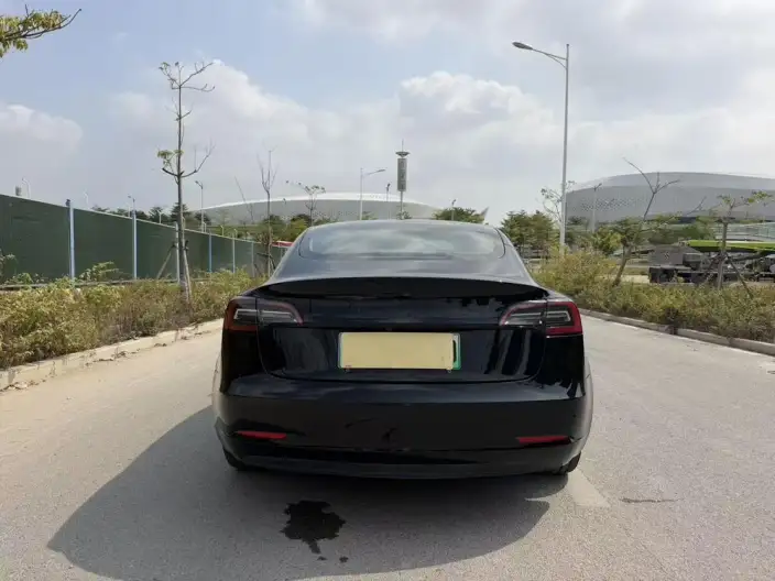 Model 3 2022 Model Rear-wheel drive version – фото 4