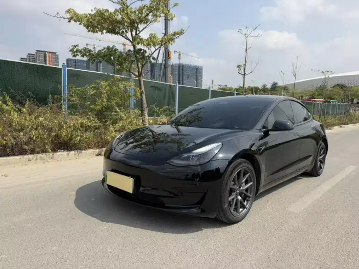 Model 3 2022 Model Rear-wheel drive version – фото 10