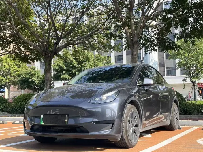 Model Y 2024 Model Rear-wheel drive version – фото 1