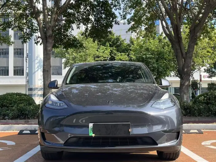 Model Y 2024 Model Rear-wheel drive version – фото 2