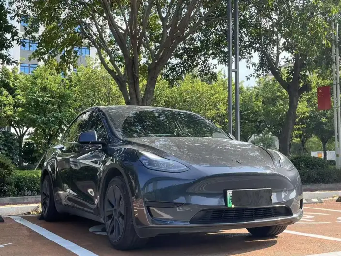 Model Y 2024 Model Rear-wheel drive version – фото 3