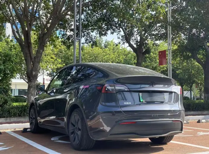 Model Y 2024 Model Rear-wheel drive version – фото 4