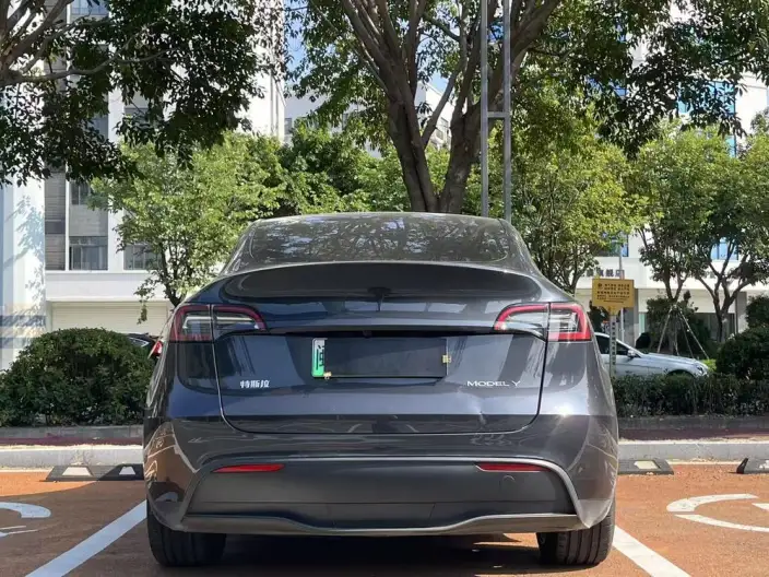 Model Y 2024 Model Rear-wheel drive version – фото 5