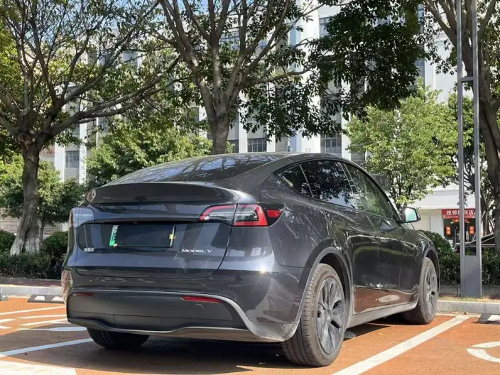 Model Y 2024 Model Rear-wheel drive version – фото 6