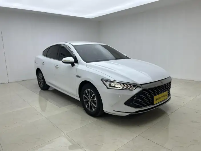 BYD Qin PLUS DM 2024 Model Honor Edition DM-i 55KM Leading Model – фото 3
