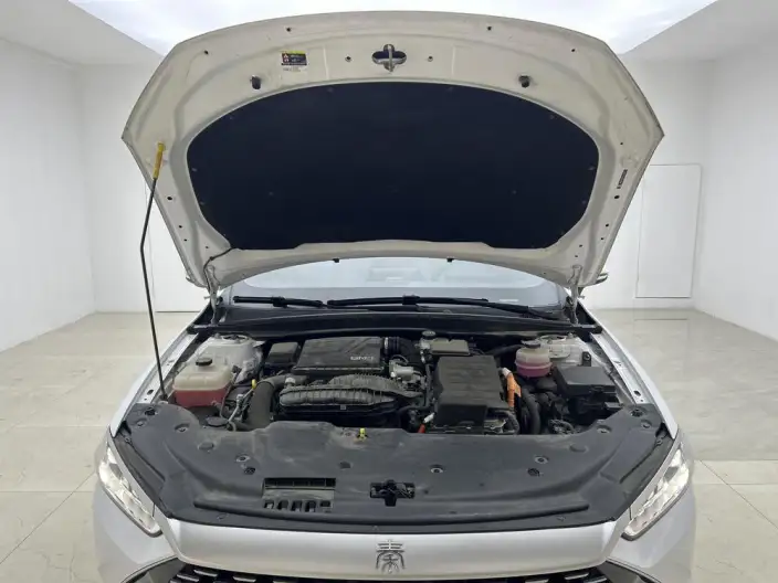BYD Qin PLUS DM 2024 Model Honor Edition DM-i 55KM Leading Model – фото 10