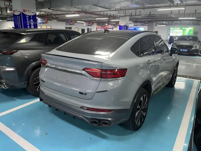 Xingyue S 2021 Model 2.0TD Automatic 2WD Lightning Edition – фото 6