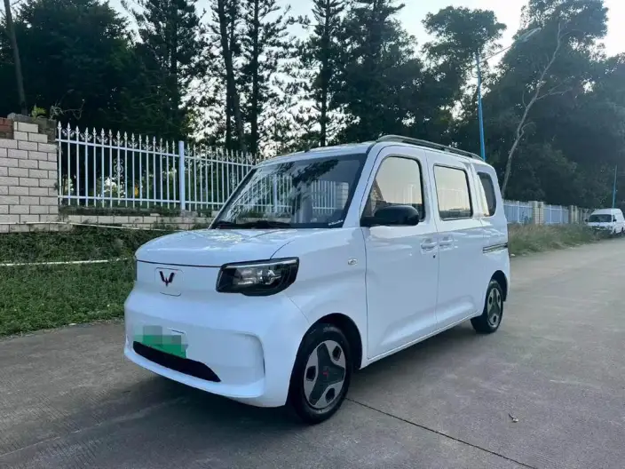 WULING Sunshine EV 2025 Model Comfort Model