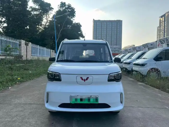WULING Sunshine EV 2025 Model Comfort Model