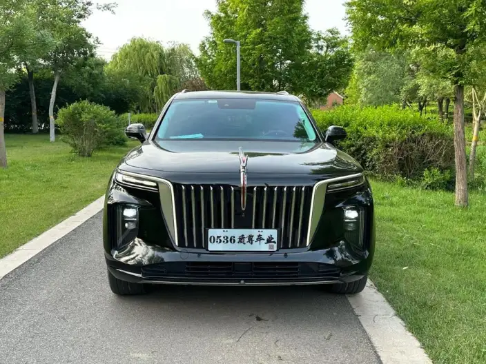HONGQI E-HS9 2022 Model 690km Flag Xiang Edition VI seat – фото 2