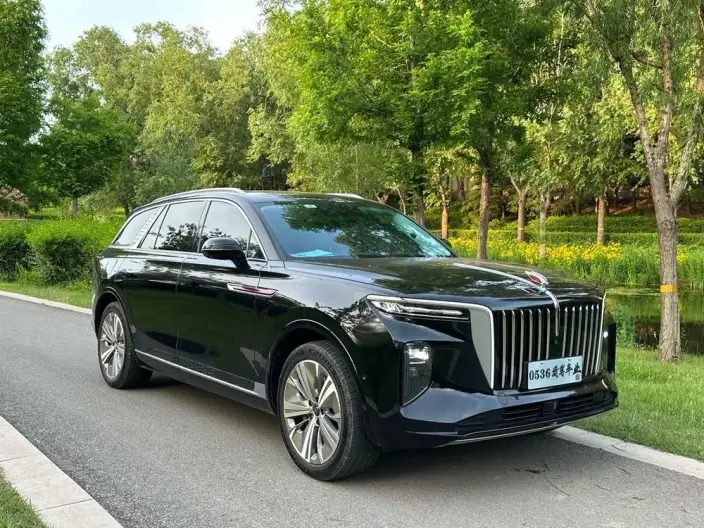 HONGQI E-HS9 2022 Model 690km Flag Xiang Edition VI seat – фото 3