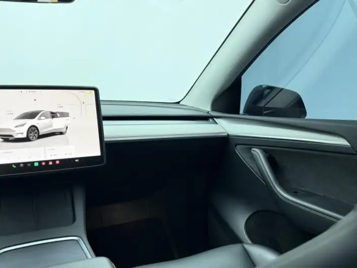 Model Y 2024 Model Rear-wheel drive version – фото 8