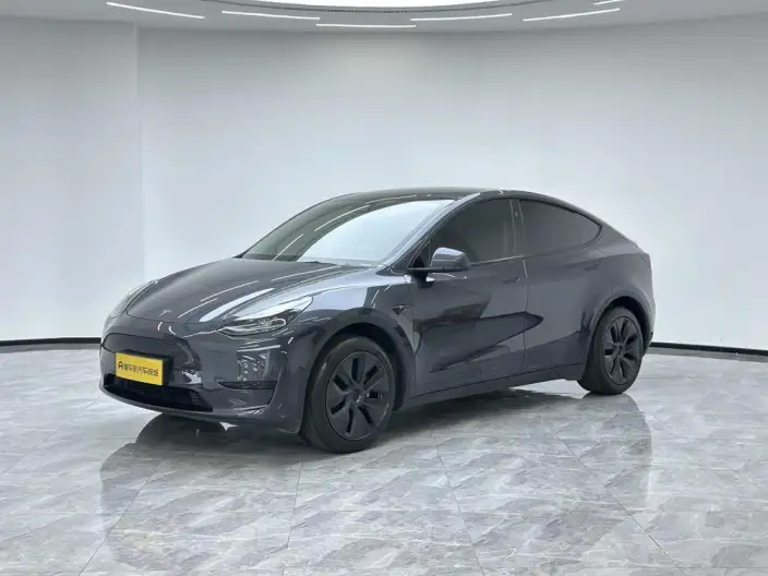 Model Y 2024 Model Rear-wheel drive version – фото 1