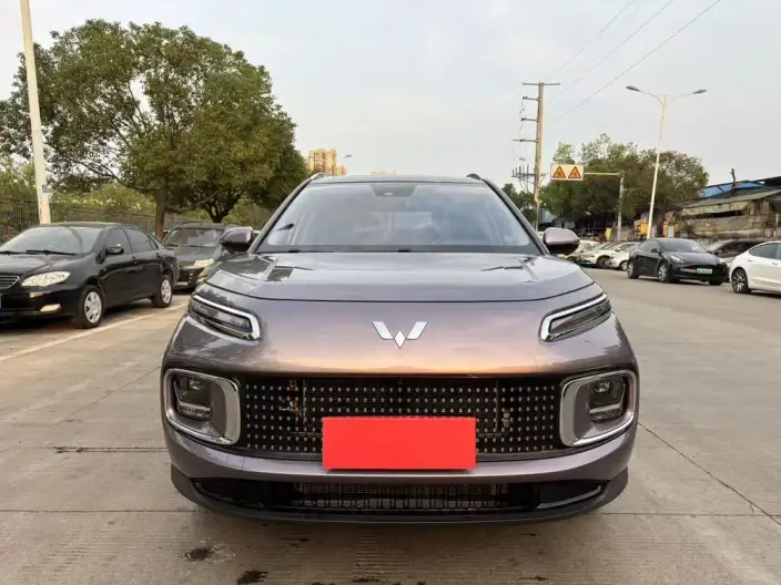Wuling Xingyun 2023 Model 2.0L DHT Flagship Model