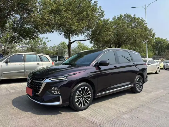 Wuling Victory 2023 Model 2.0L DHT Luxury Model