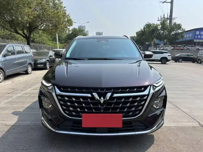 Wuling Victory 2023 Model 2.0L DHT Luxury Model
