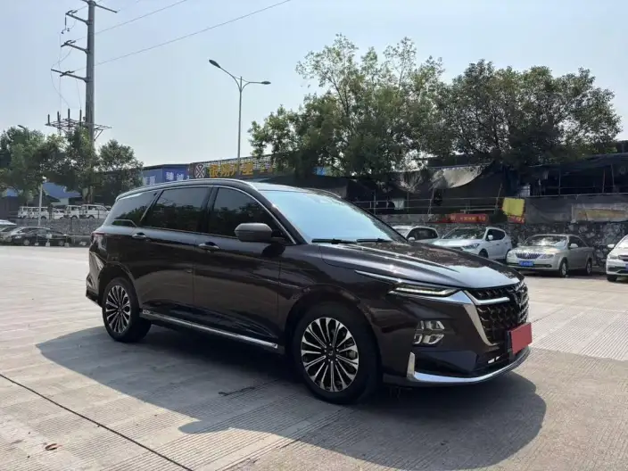 Wuling Victory 2023 Model 2.0L DHT Luxury Model