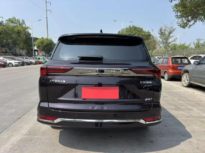 Wuling Victory 2023 Model 2.0L DHT Luxury Model – фото 5