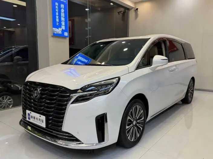 Buick GL8 2023 Model ES Luzun 2.0T Luxury Model – фото 1
