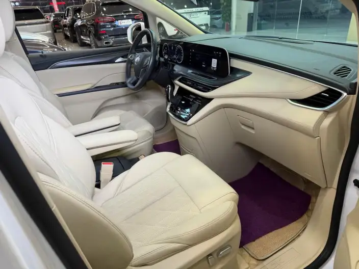 Buick GL8 2023 Model ES Luzun 2.0T Luxury Model – фото 7