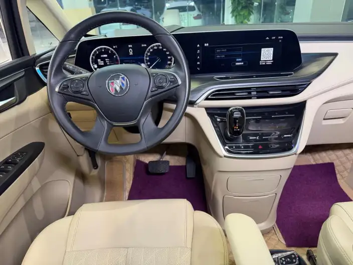 Buick GL8 2023 Model ES Luzun 2.0T Luxury Model – фото 10